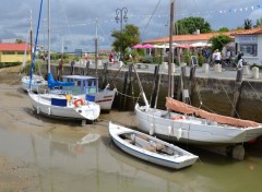  Bateaux Mornac sur seudre