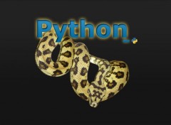  Informatique Python dev