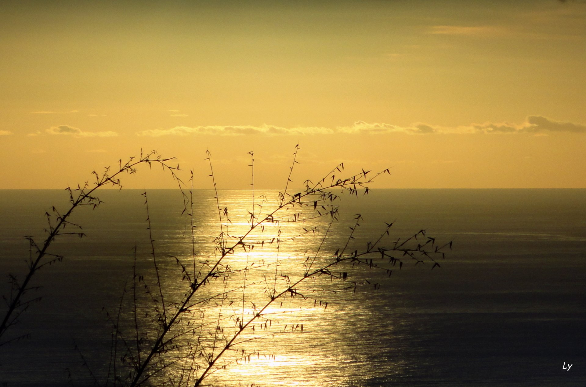 Fonds d'cran Nature Couchers et levers de Soleil 