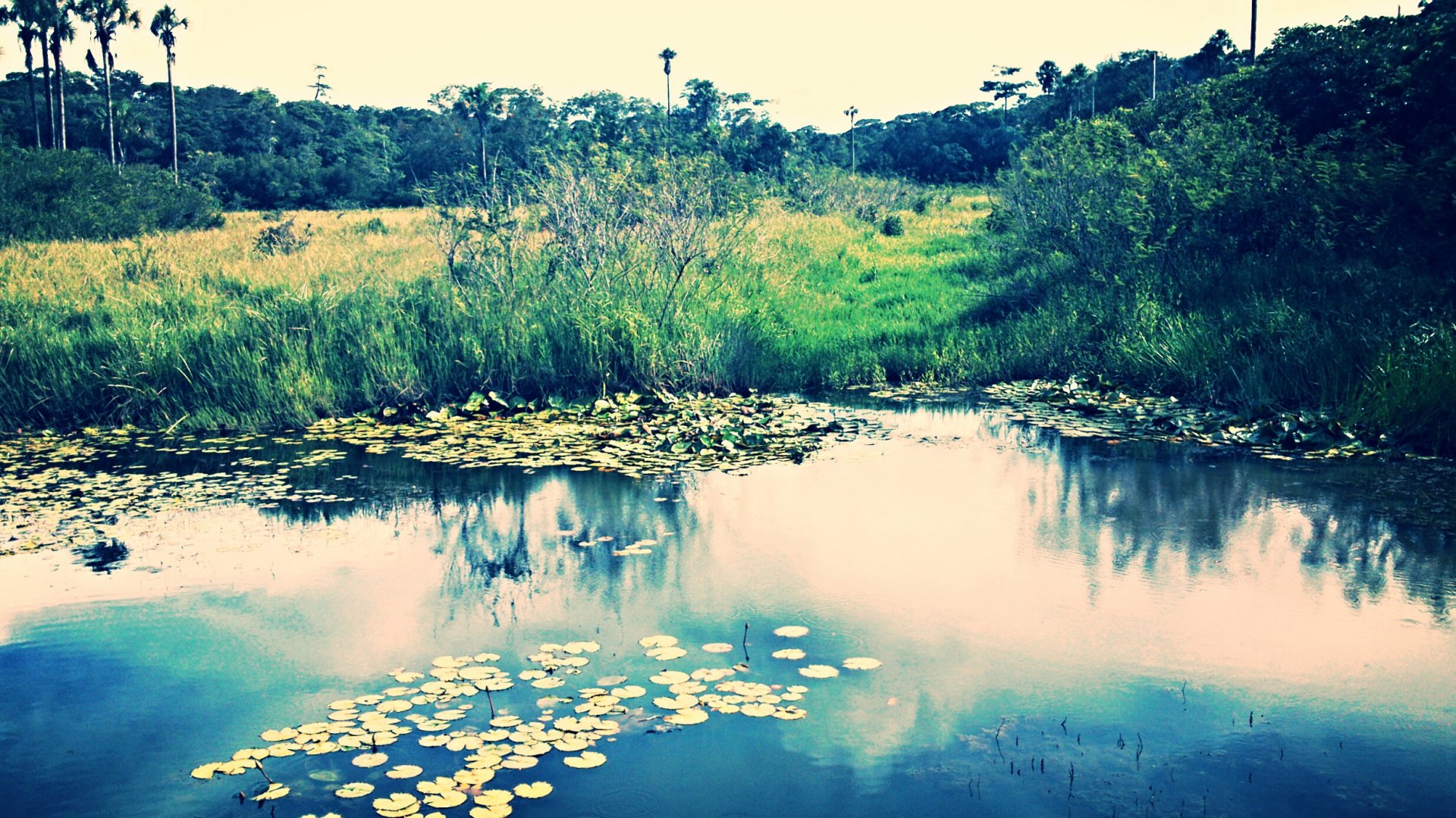 Fonds d'cran Nature Lacs - Etangs Etang