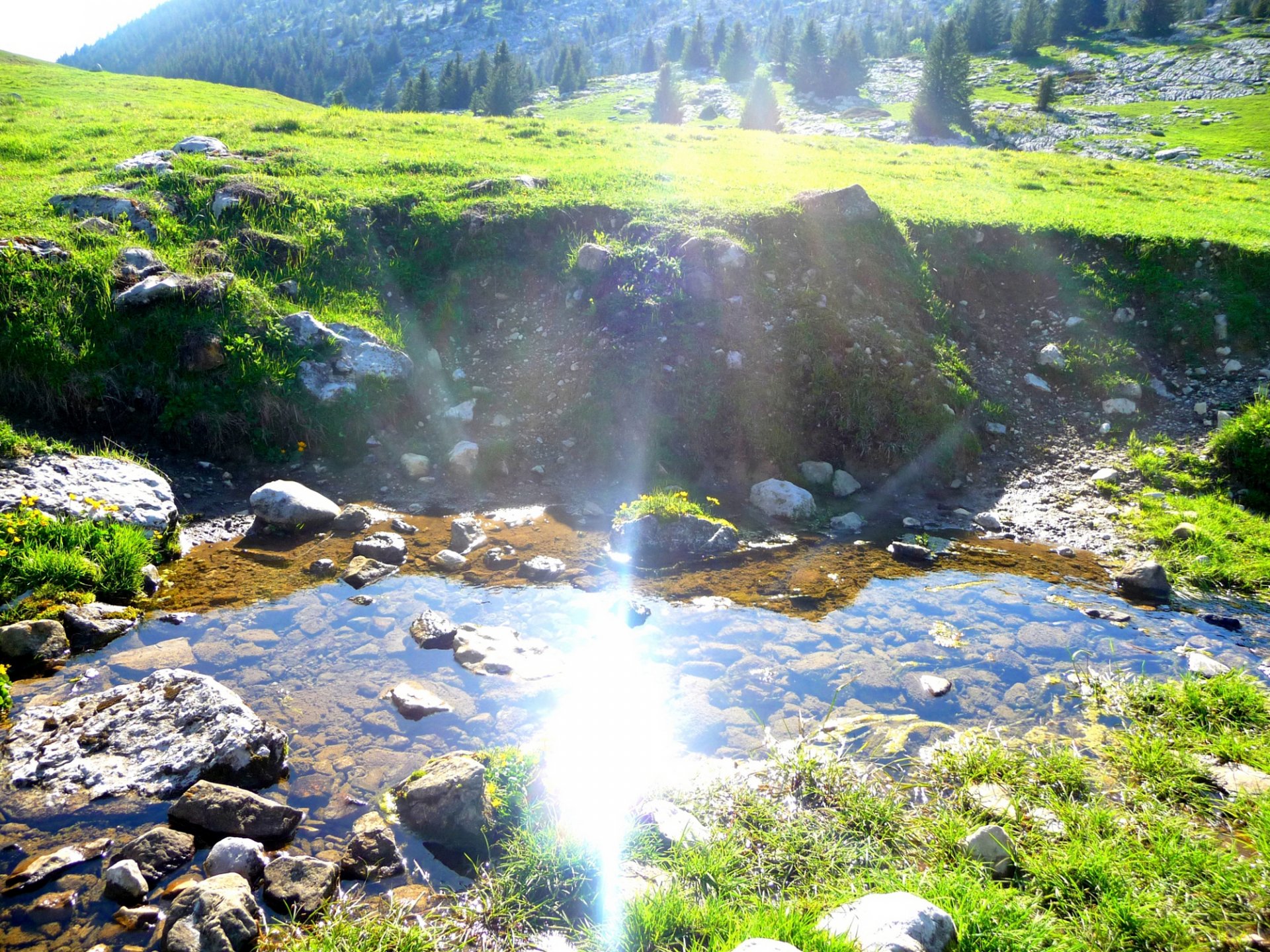 Wallpapers Nature Rivers - Torrents Source de Cenis (Haute-Savoie)