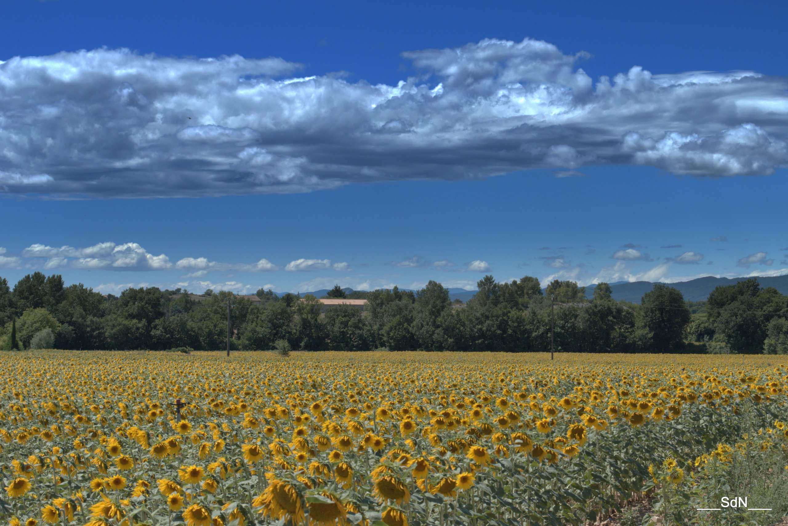 Fonds d'cran Nature Champs - Prairies 