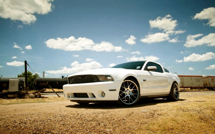 Wallpapers Cars Ford Wallpaper N353648