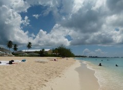  Nature Plage Iles Caïmans