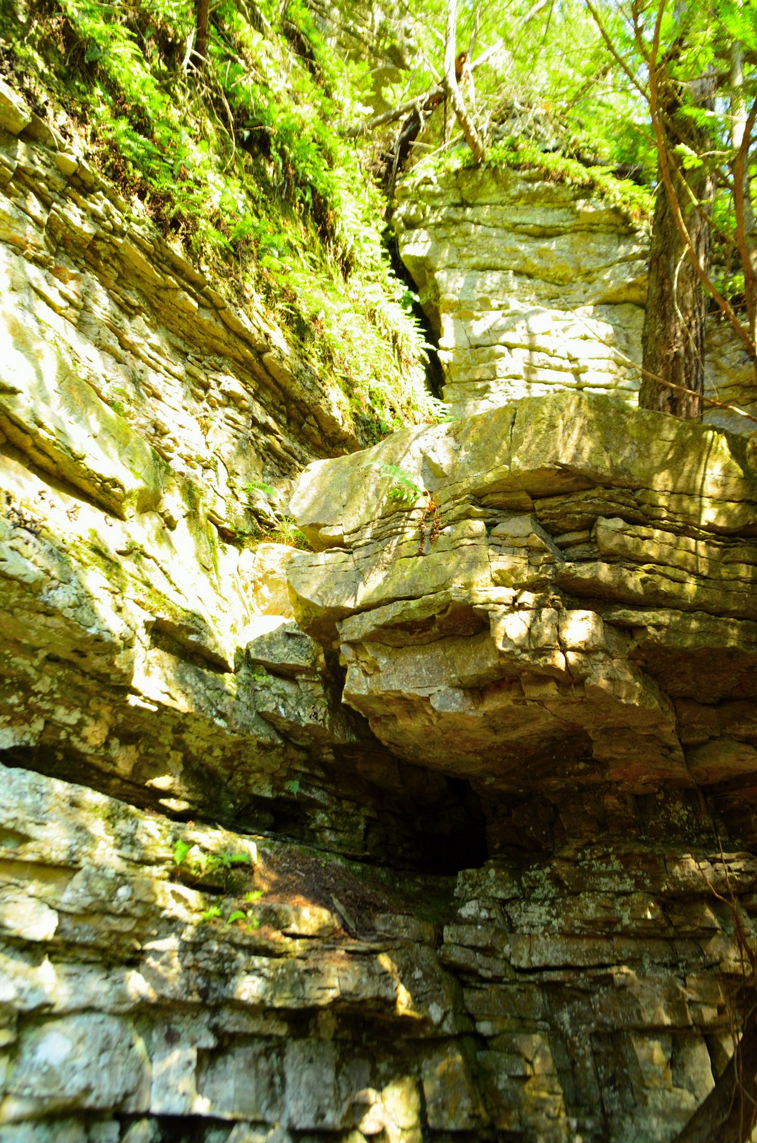 Wallpapers Nature Canyons Ausable Chasm