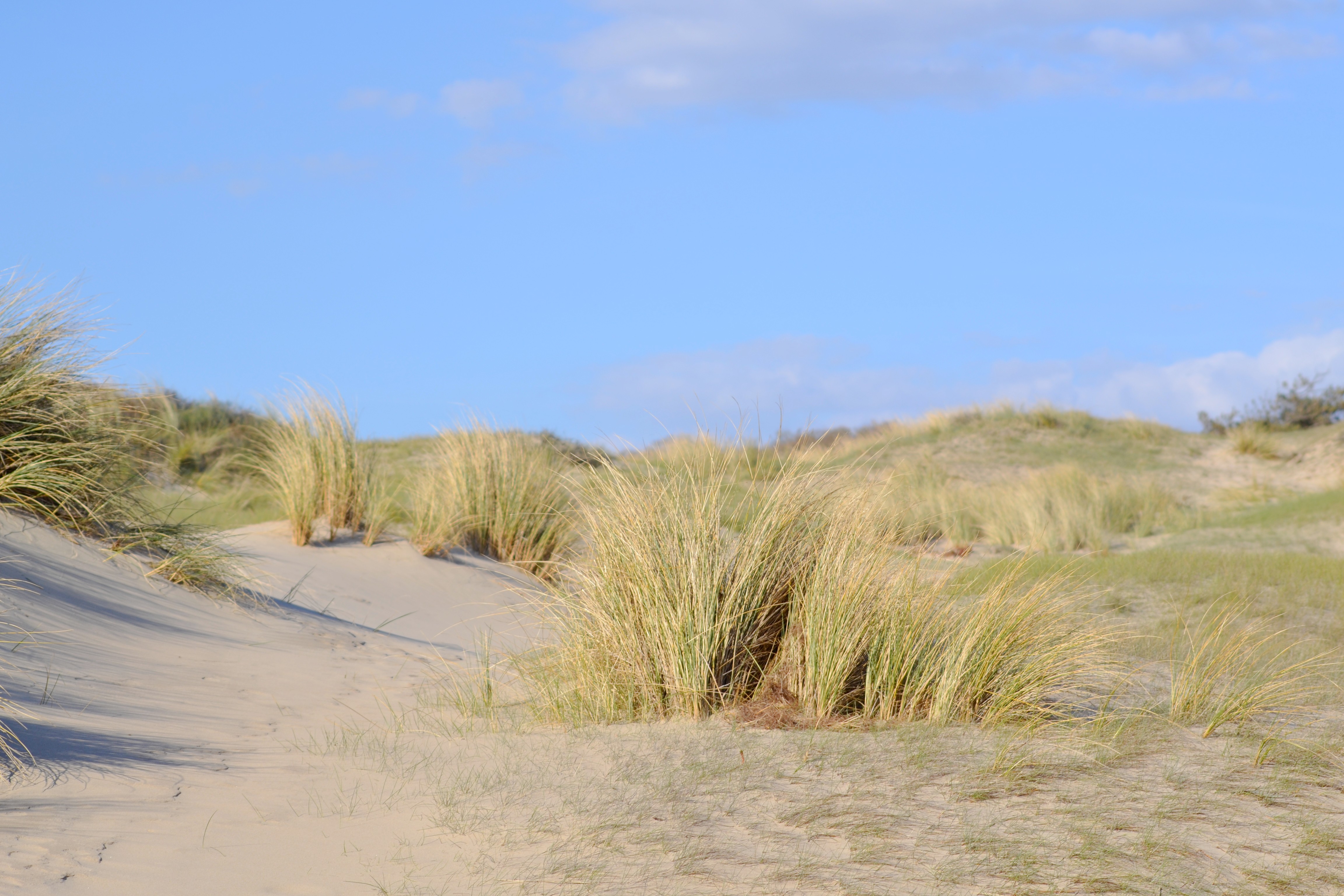 Wallpapers Nature Seas - Oceans - Beaches Dunes