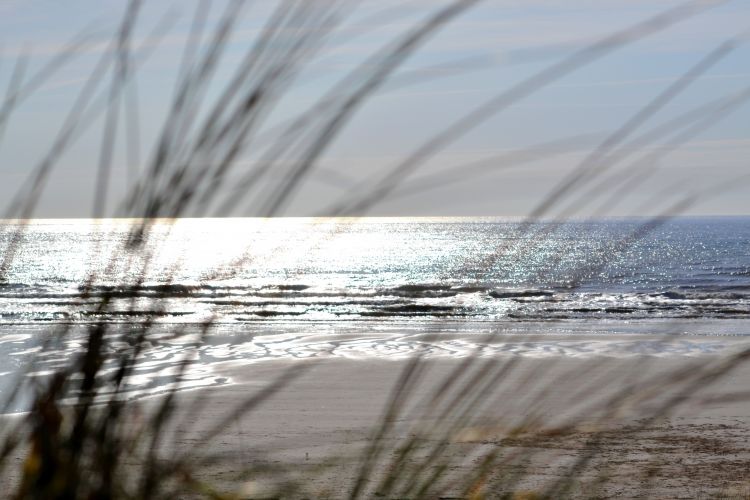 Fonds d'cran Nature Mers - Ocans - Plages Dunes