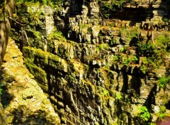  Nature Ausable Chasm