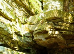  Nature Ausable Chasm