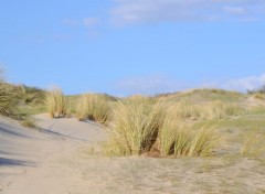  Nature Dunes