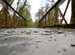  Constructions and architecture Pont