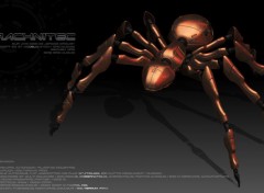  Art - Numrique Arachnitec