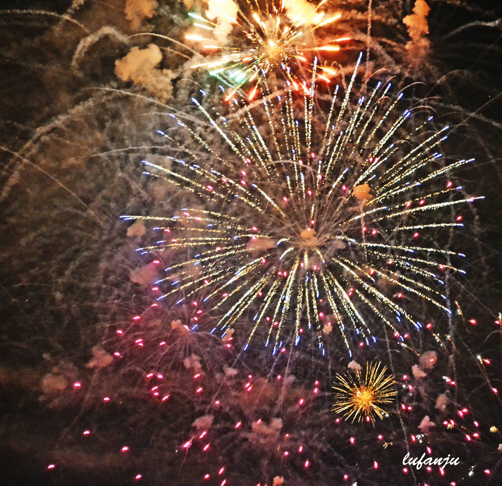 Fonds d'cran Hommes - Evnements Feux d'Artifice 