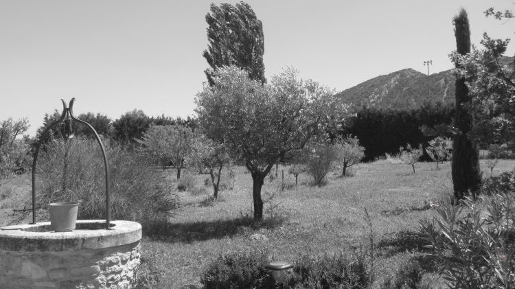 Fonds d'cran Nature Arbres - Forts Jardin de Robion (France)