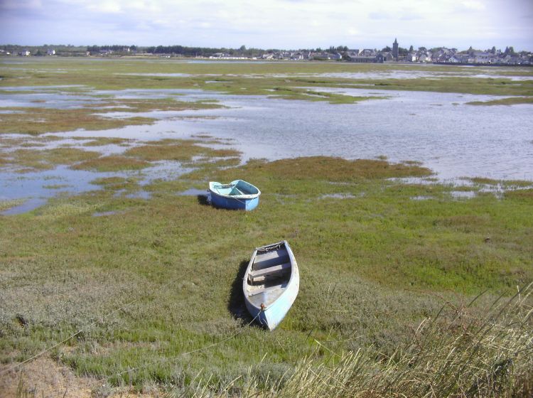 Fonds d'cran Bateaux Barques - Pirogues Portbail (manche)