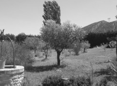  Nature Jardin de Robion (France)