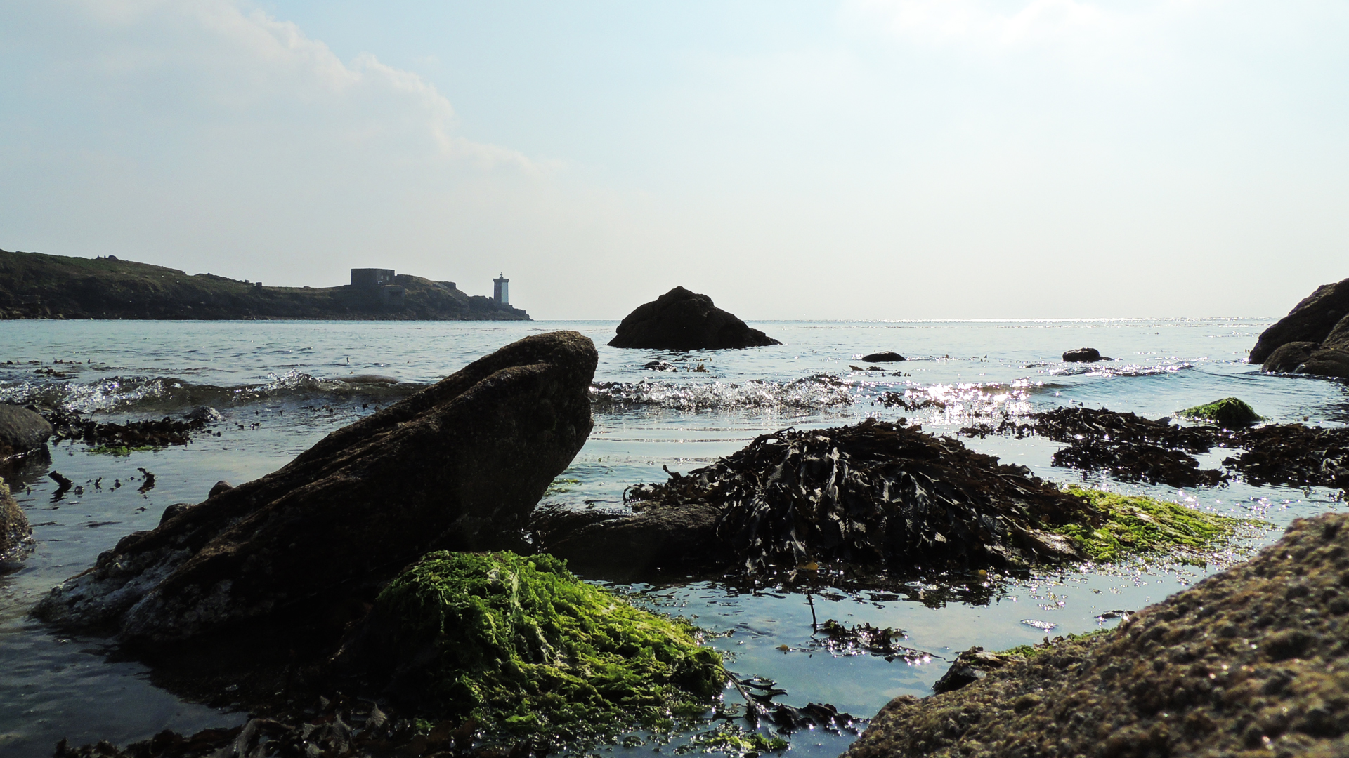 Fonds d'cran Nature Mers - Ocans - Plages Au raz de l'eau