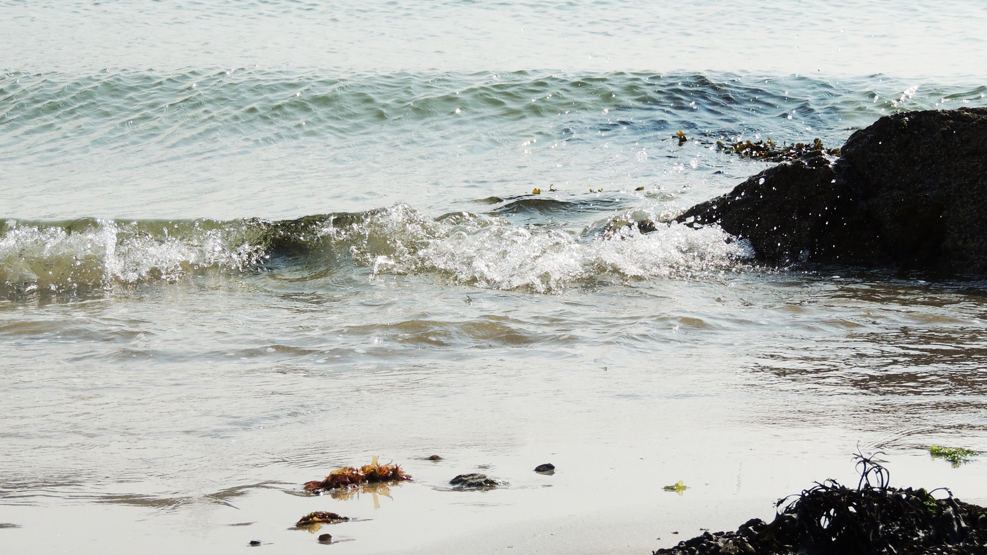 Fonds d'cran Nature Mers - Ocans - Plages vague