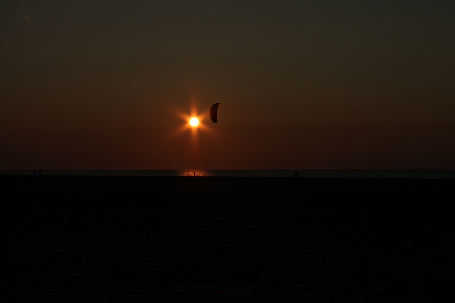 Fonds d'cran Nature Mers - Ocans - Plages Cerf volant voulant défier le soleil