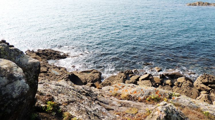 Fonds d'cran Nature Mers - Ocans - Plages La mer