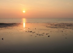  Nature Couché du soleil sur l'Angleterre