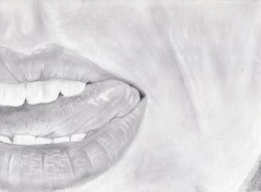  Art - Pencil No name picture N354708