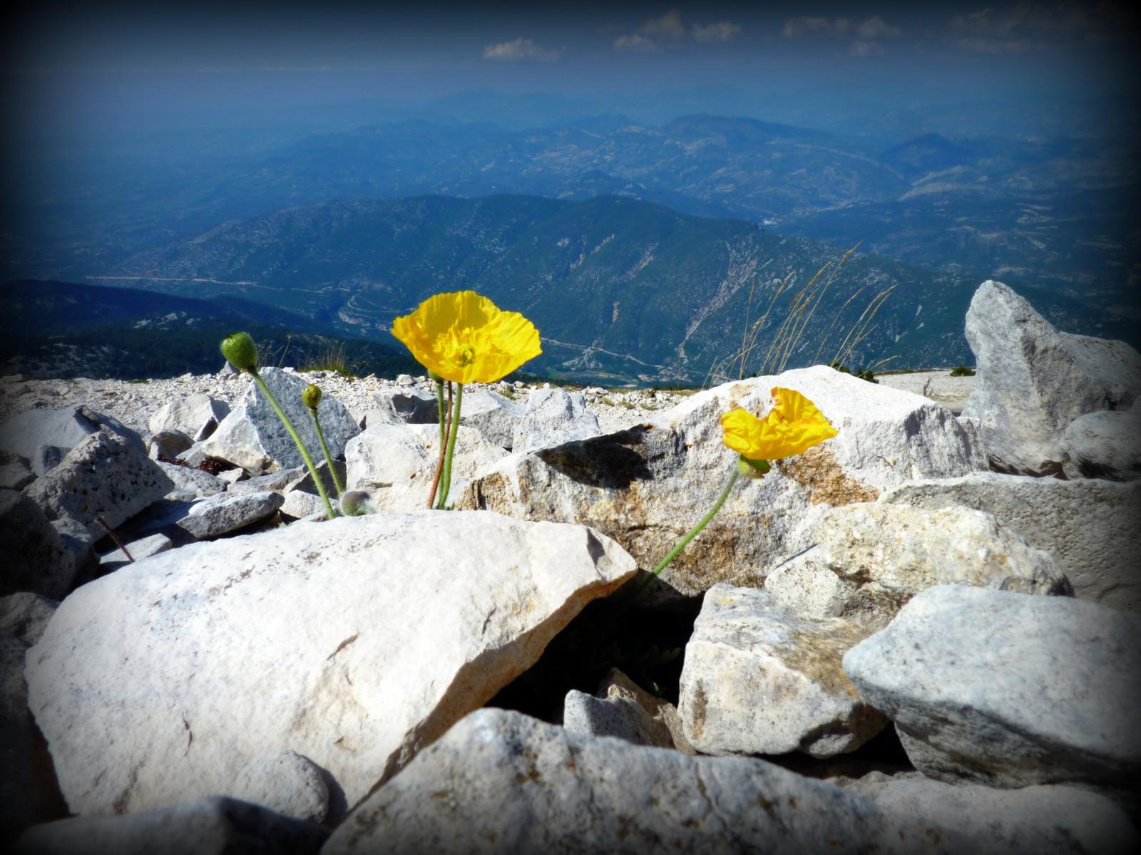 Fonds d'cran Nature Paysages 