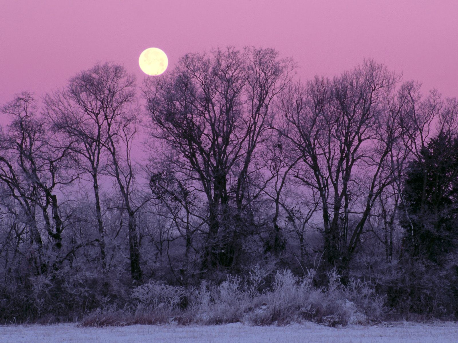 Wallpapers Nature Saisons - Winter 