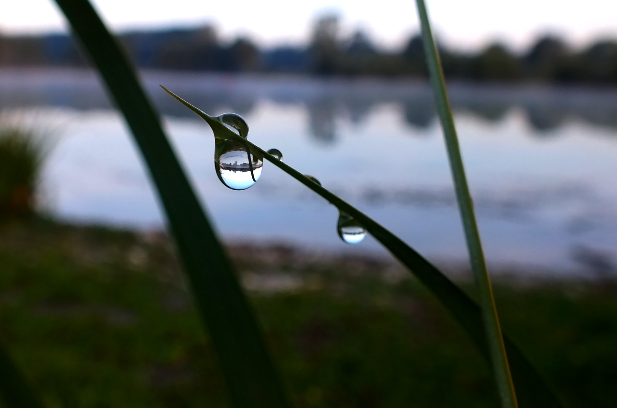 Wallpapers Nature Water - Drops Gouttes d'eau