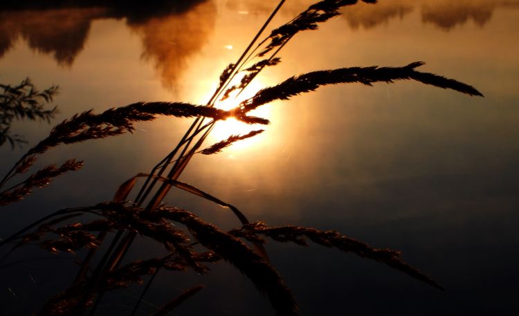 Fonds d'cran Nature Couchers et levers de Soleil reflet dor