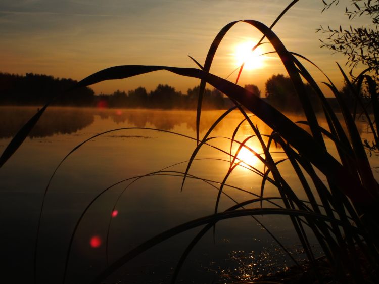 Fonds d'cran Nature Couchers et levers de Soleil Reflets