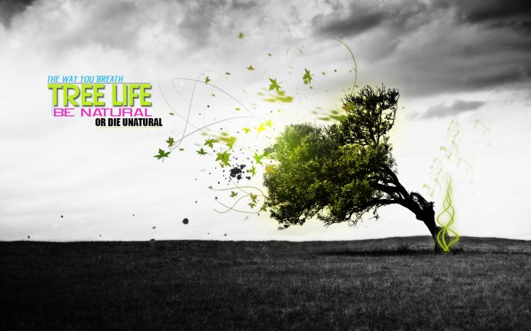 Wallpapers Digital Art Nature - Trees, plants Tree Life