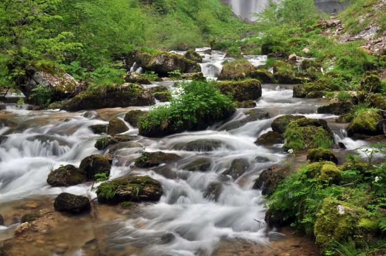 Fonds d'cran Nature Fleuves - Rivires - Torrents le herisson