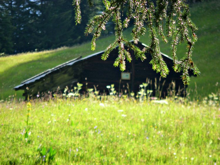 Fonds d'cran Constructions et architecture Chalets Petit mayen dans la prairie