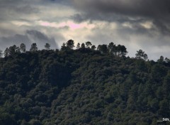  Nature "LES PAYSAGES" LES CRETES SEVENOLES