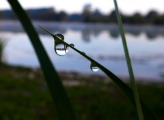  Nature Gouttes d'eau