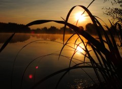  Nature Reflets