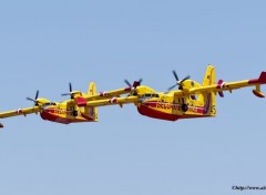  Avions 50 Ans des Bombardiers d'eau à Aix