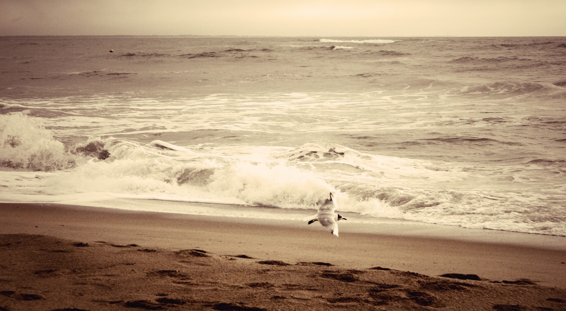 Fonds d'cran Nature Mers - Ocans - Plages 