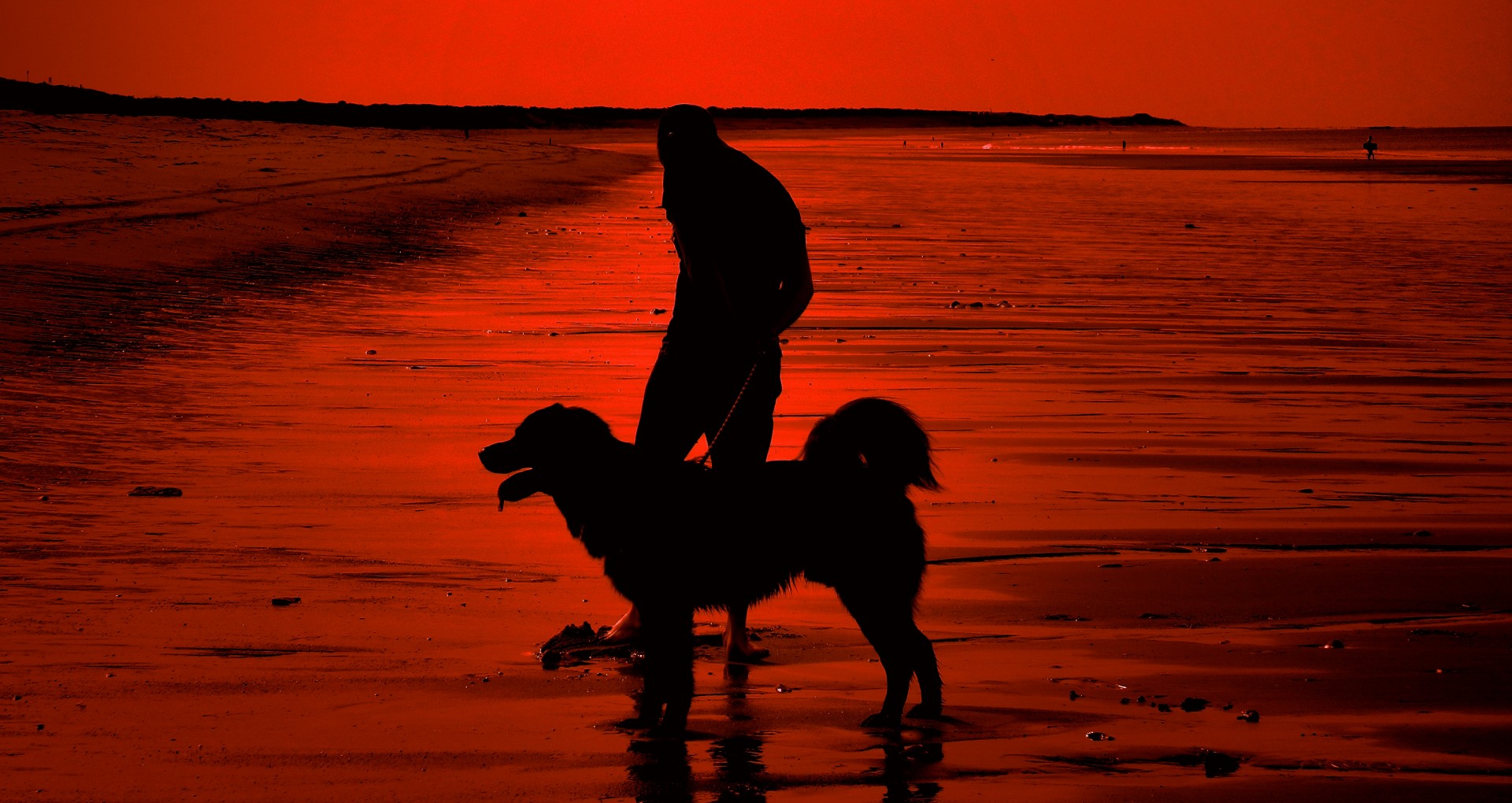 Wallpapers Animals Dogs Red Day, Black Dog