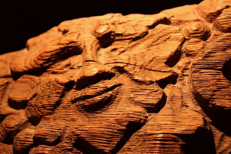 Wallpapers Objects Statues - Sculptures Sourire de bois