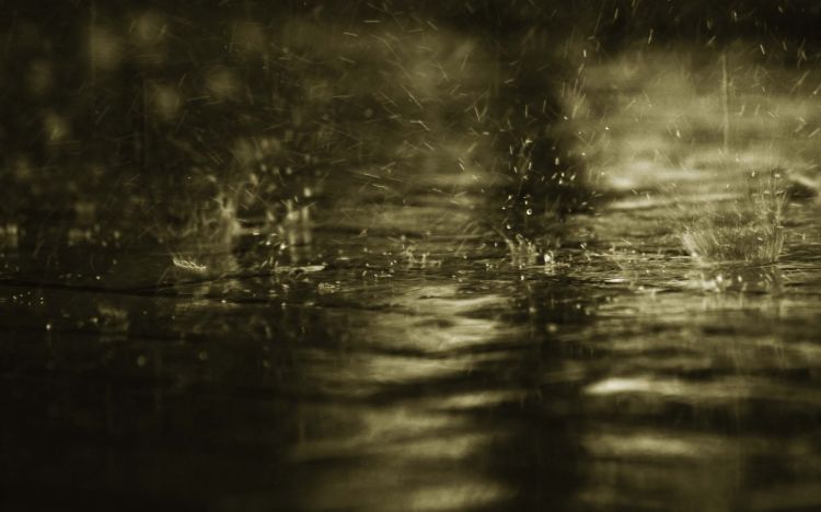 Wallpapers Nature Rain Wallpaper N356487