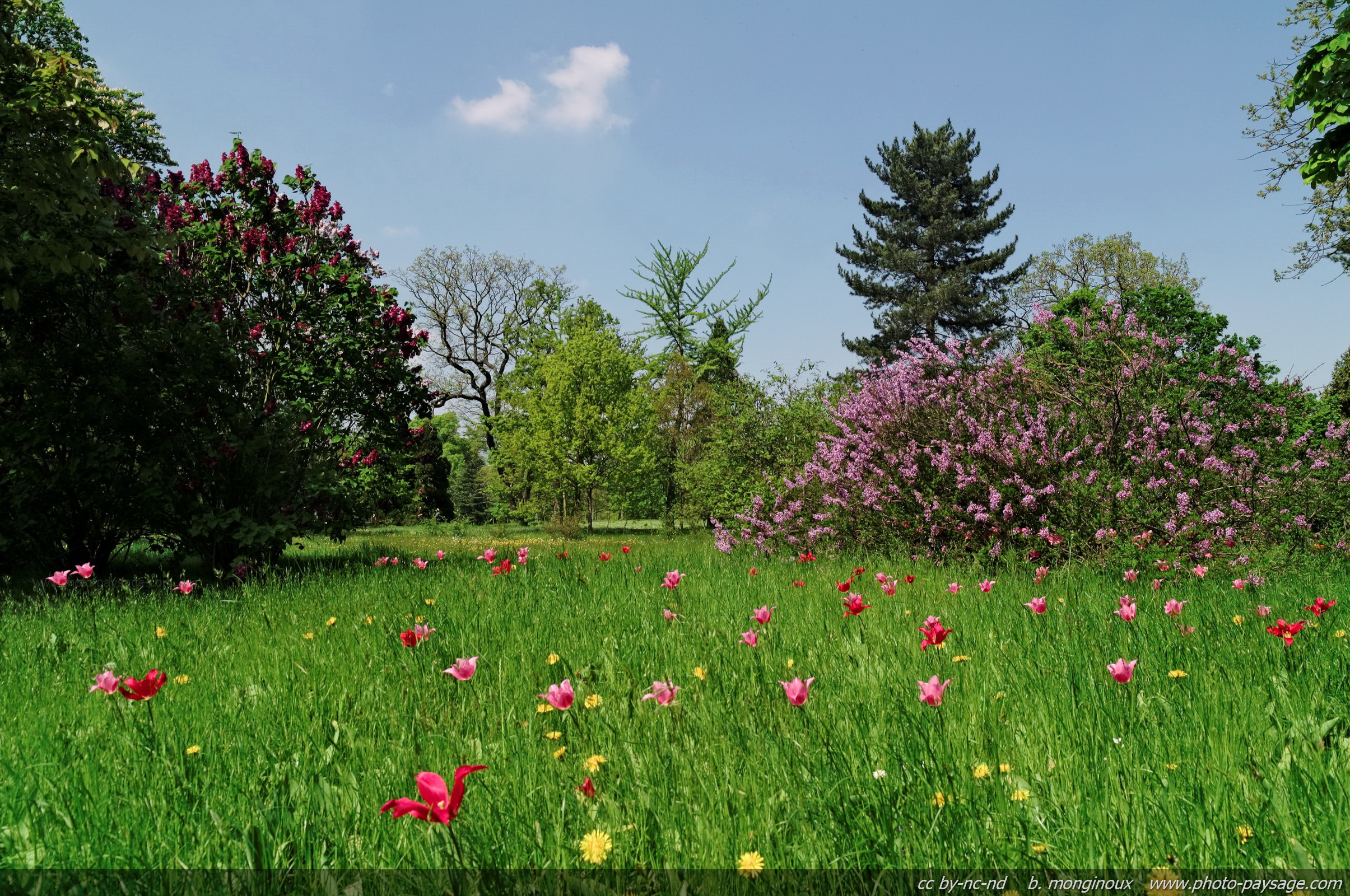 Wallpapers Nature Parks - Gardens 