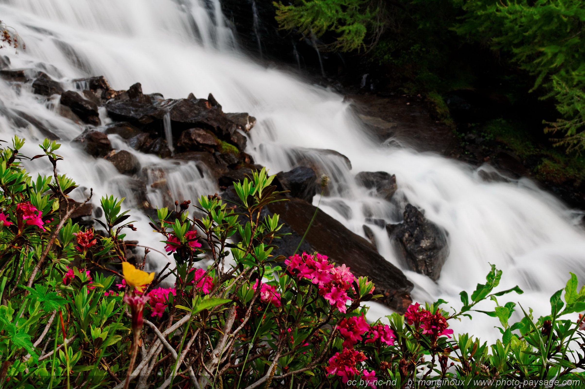 Fonds d'cran Nature Fleuves - Rivires - Torrents 