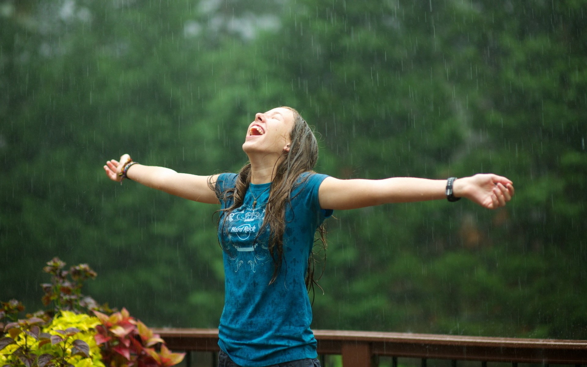 Fonds d'cran Nature Pluie 