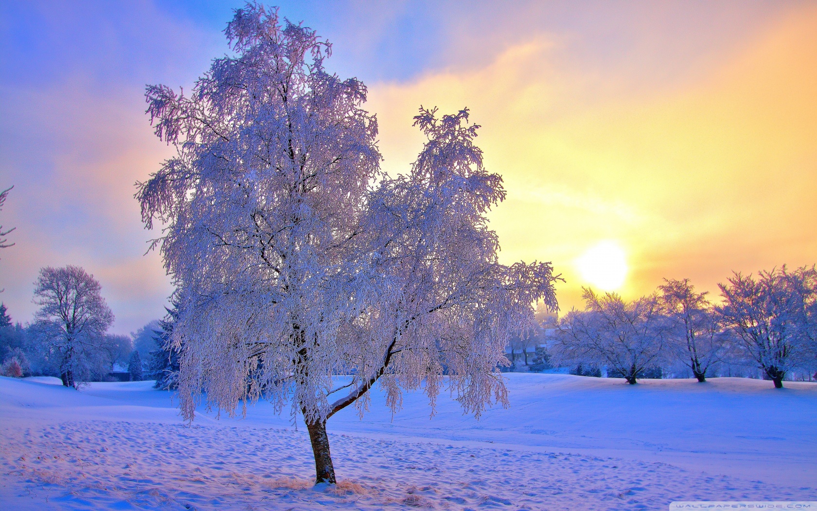 Wallpapers Nature Saisons - Winter 