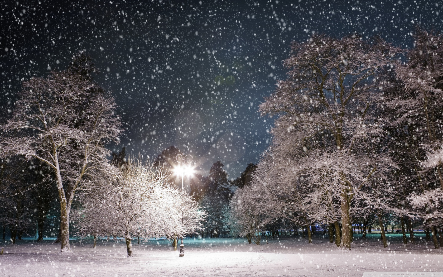 Fonds d'cran Nature Saisons - Hiver 