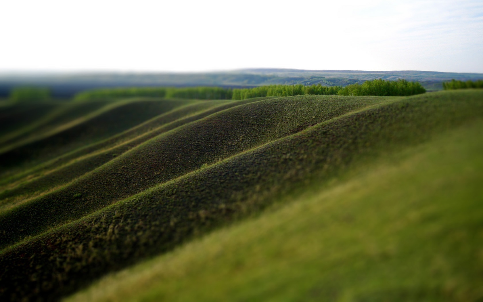 Fonds d'cran Nature Champs - Prairies 