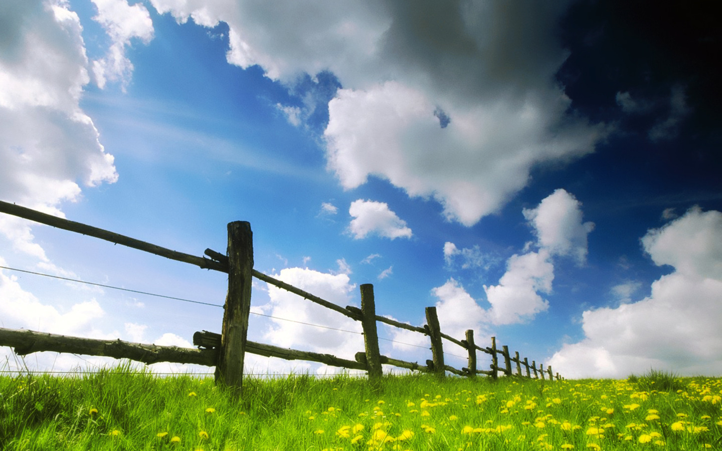 Fonds d'cran Nature Champs - Prairies 