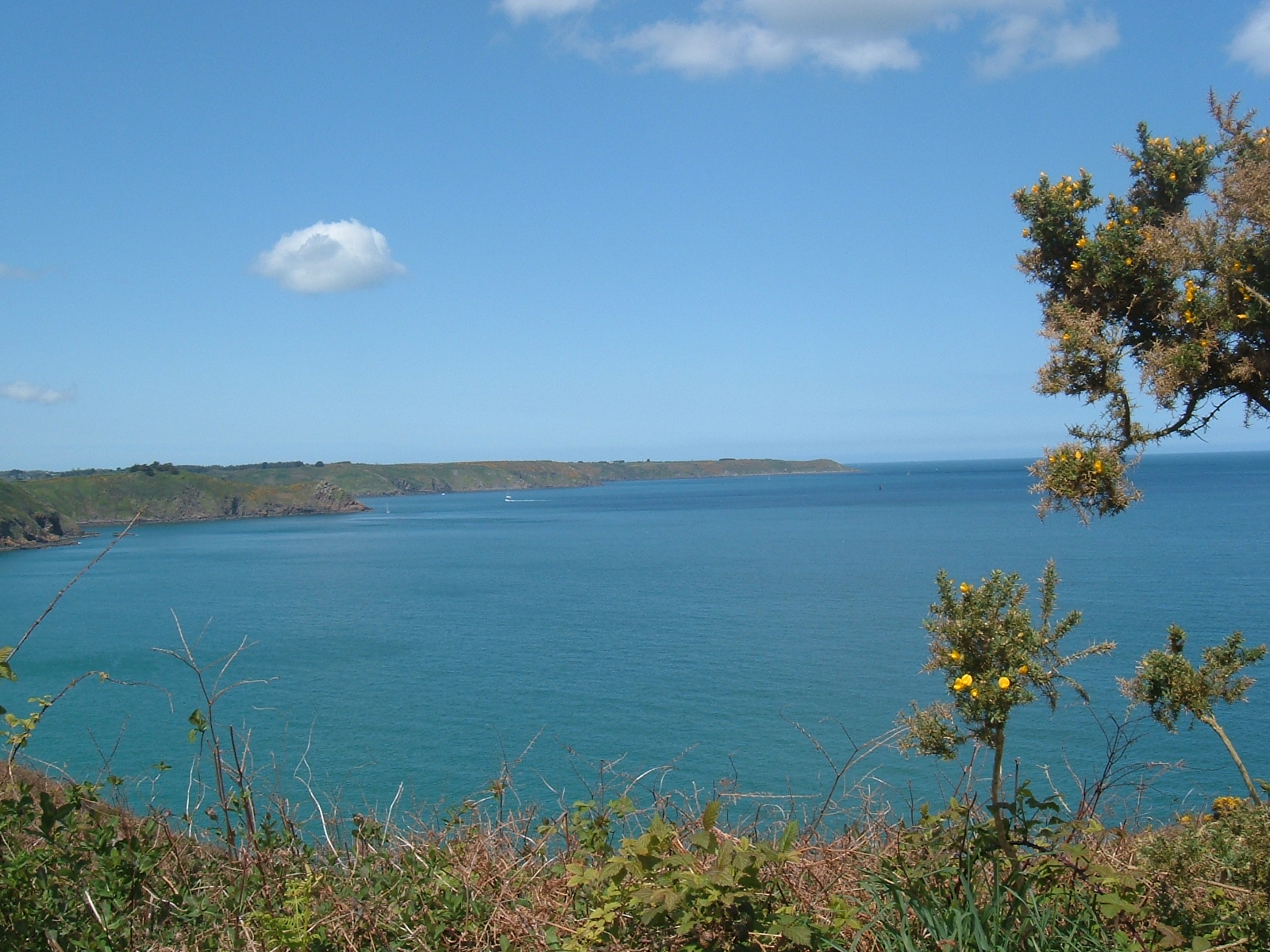 Fonds d'cran Nature Mers - Ocans - Plages 